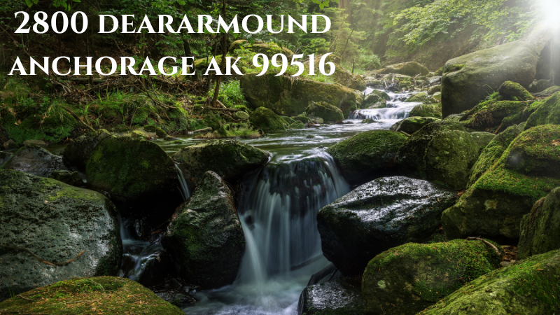 2800 deararmound anchorage ak 99516
